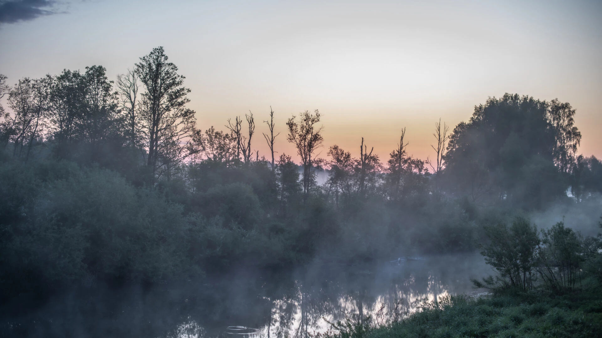 Vēsturiska uzvara dabai – pieņemta Dabas atjaunošanas regula