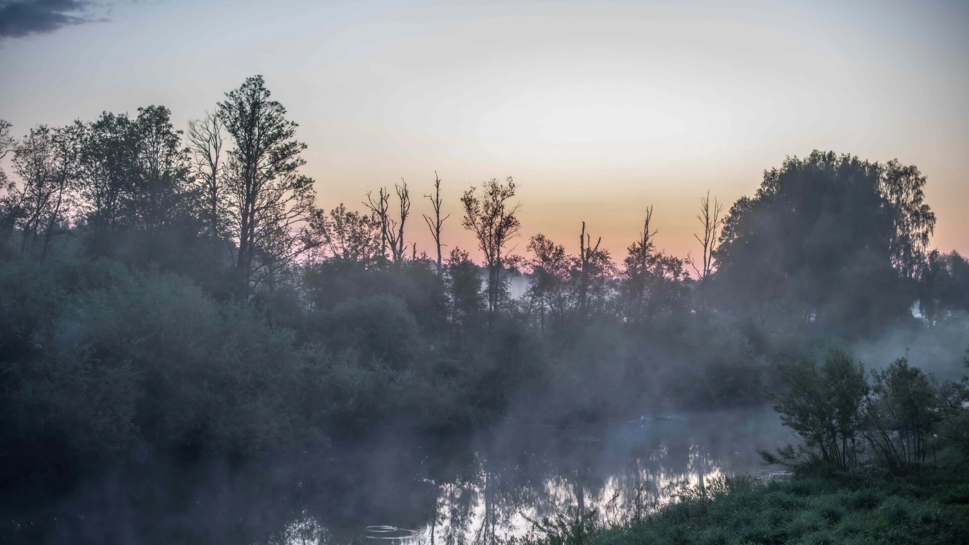 Latvian Fund for Nature