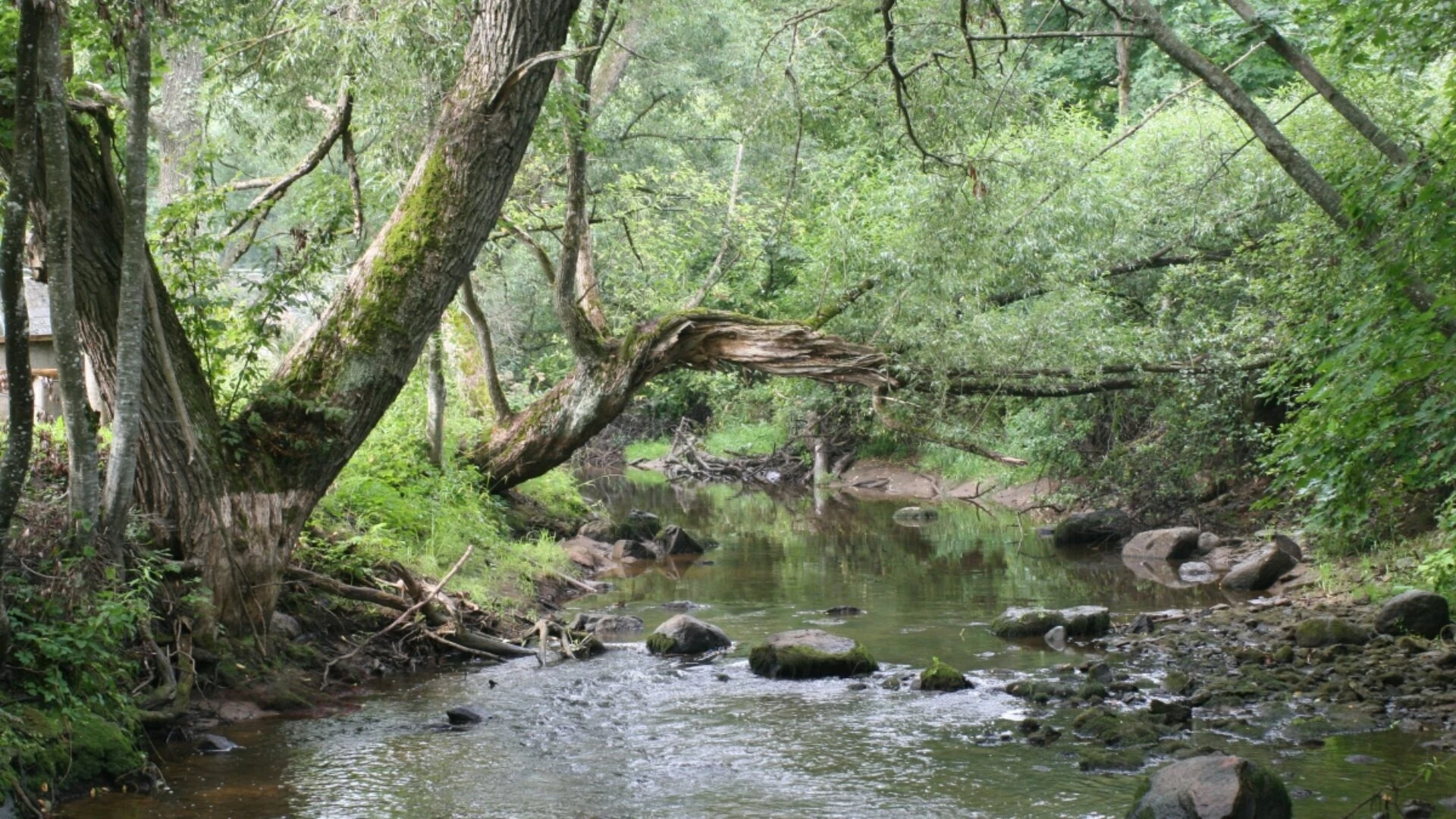 2022. gada pārskats