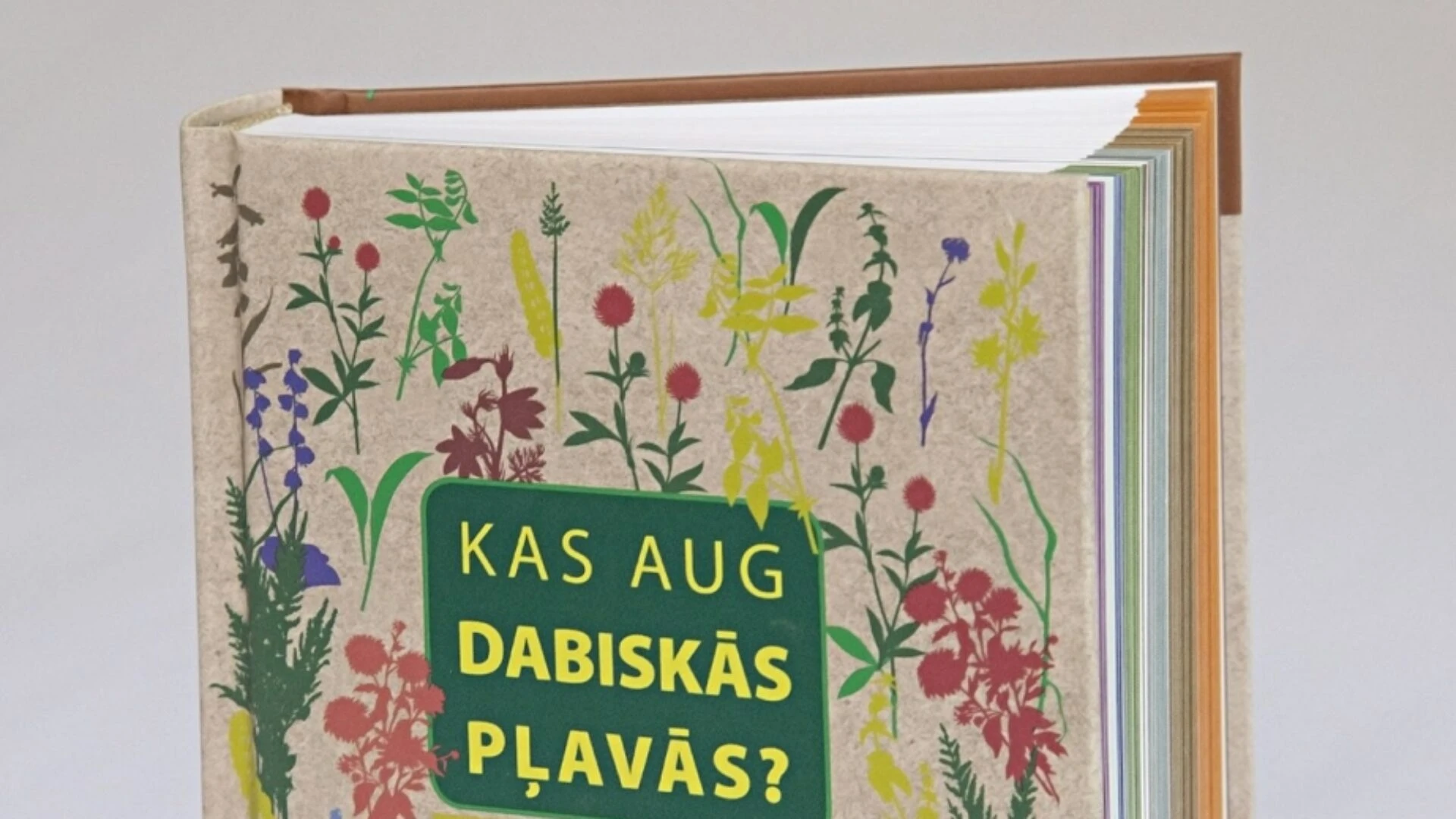 Atkārtoti izdots ilustratīvs noteicējs “Kas aug dabiskās pļavās? Kas dzīvo dabiskās pļavās?”