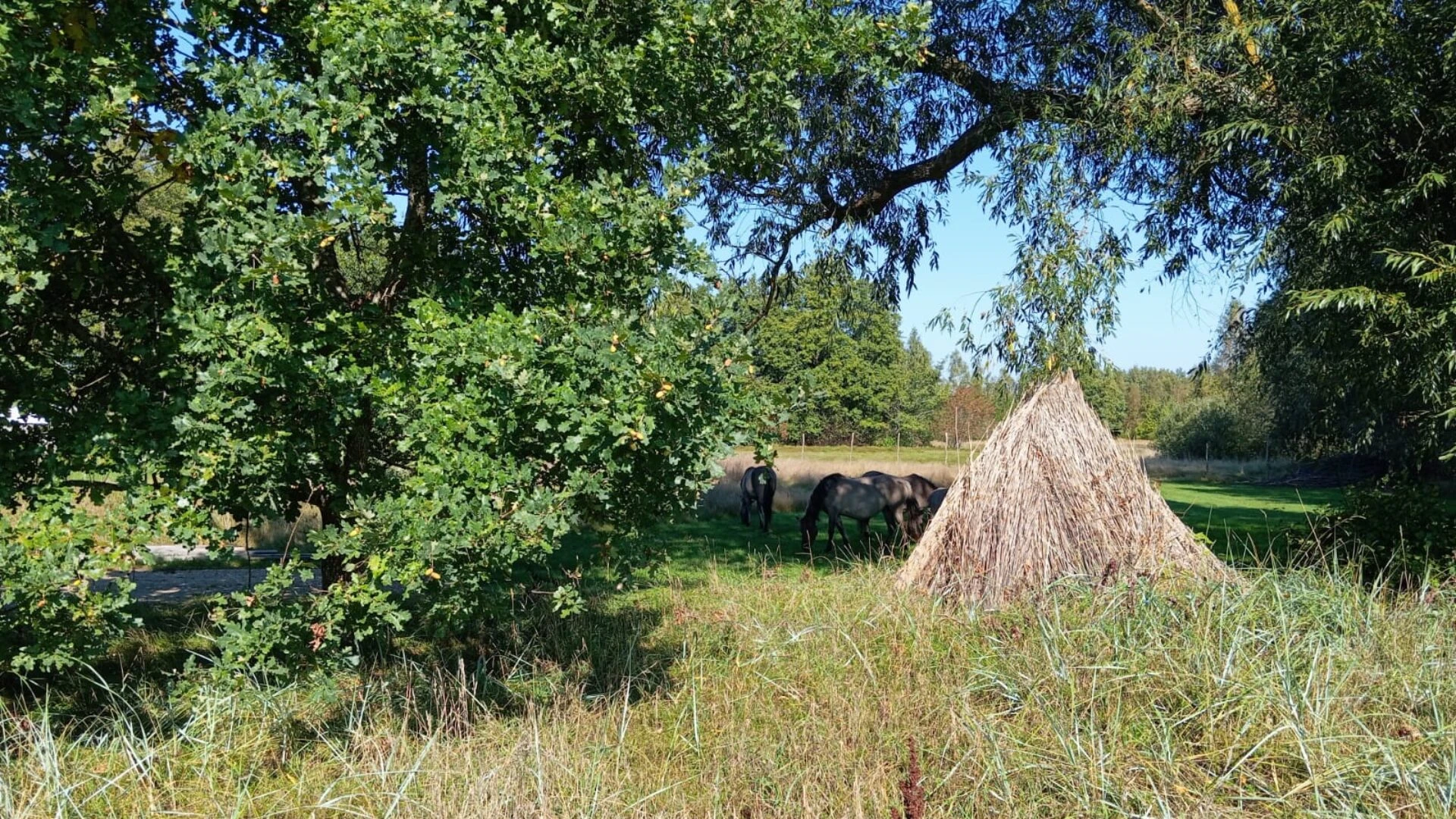 Latvijas Dabas fonds aicina uz Ainavu tūri Sventājas upes ielejā