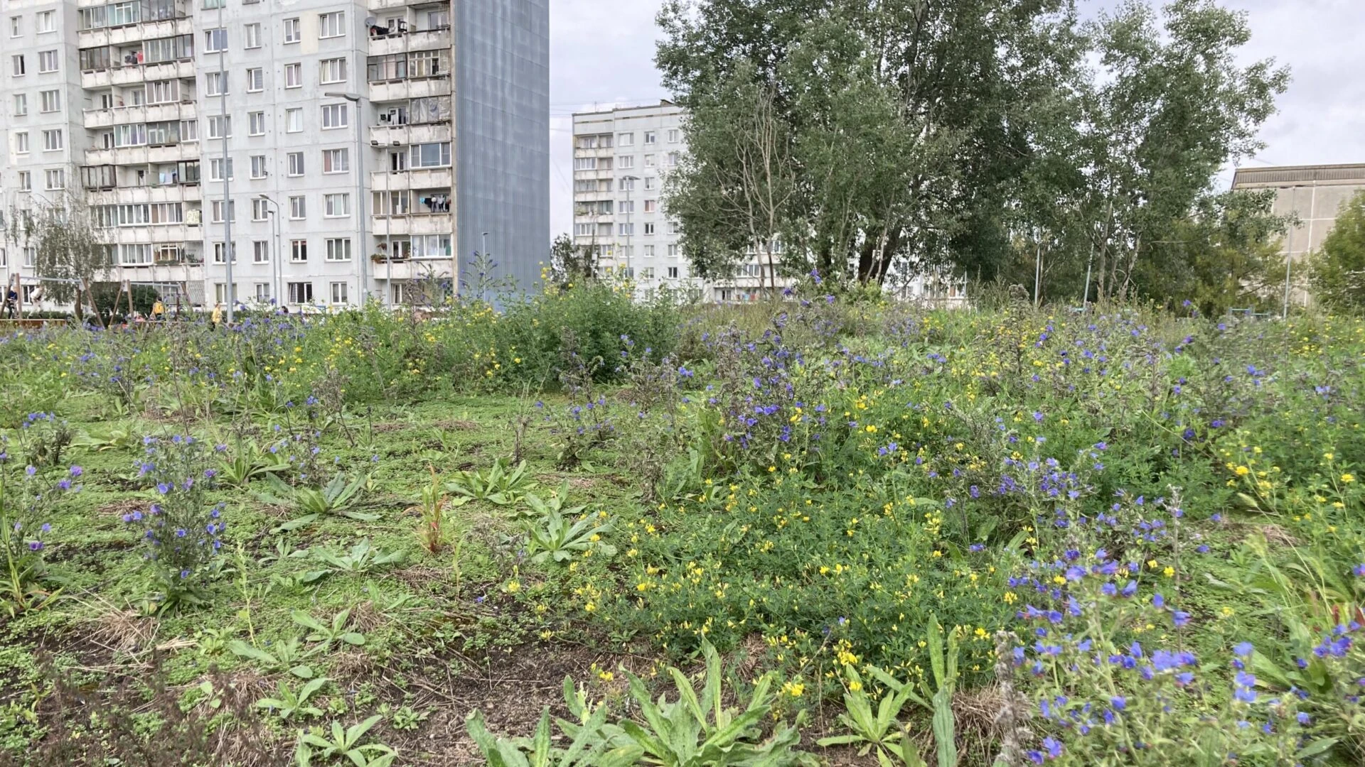 “Zaļajos grilos” pašvaldību kandidāti debatēs par dabu, vidi un klimatu reģionos