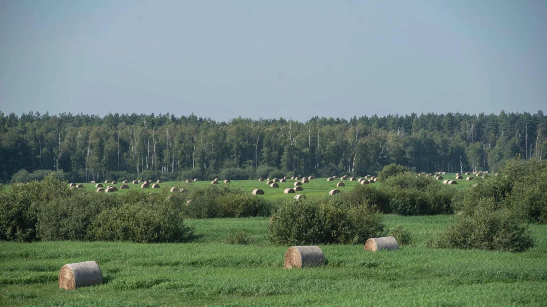 Latvijas Dabas fonda paveiktais Madonas novadā