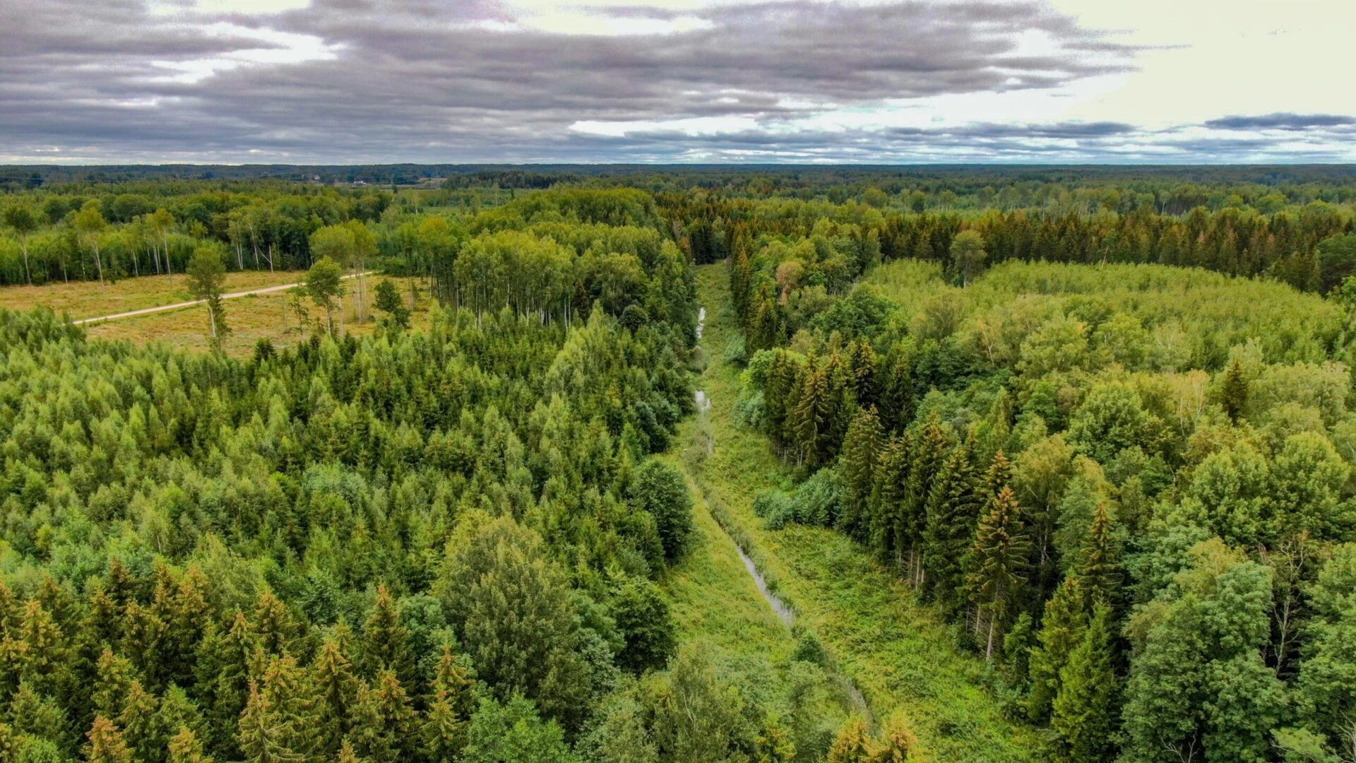 Latvijas Dabas fonds aicina uz ainavu tūri “Daba taisnas līnijas nevelk – Toras upes ceļš” 