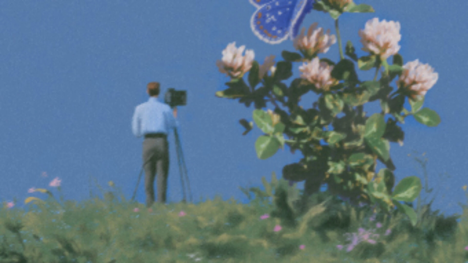 “Pamanīts pilsētas pļavās” – Latvijas Dabas fonds izsludina fotogrāfiju konkursu!