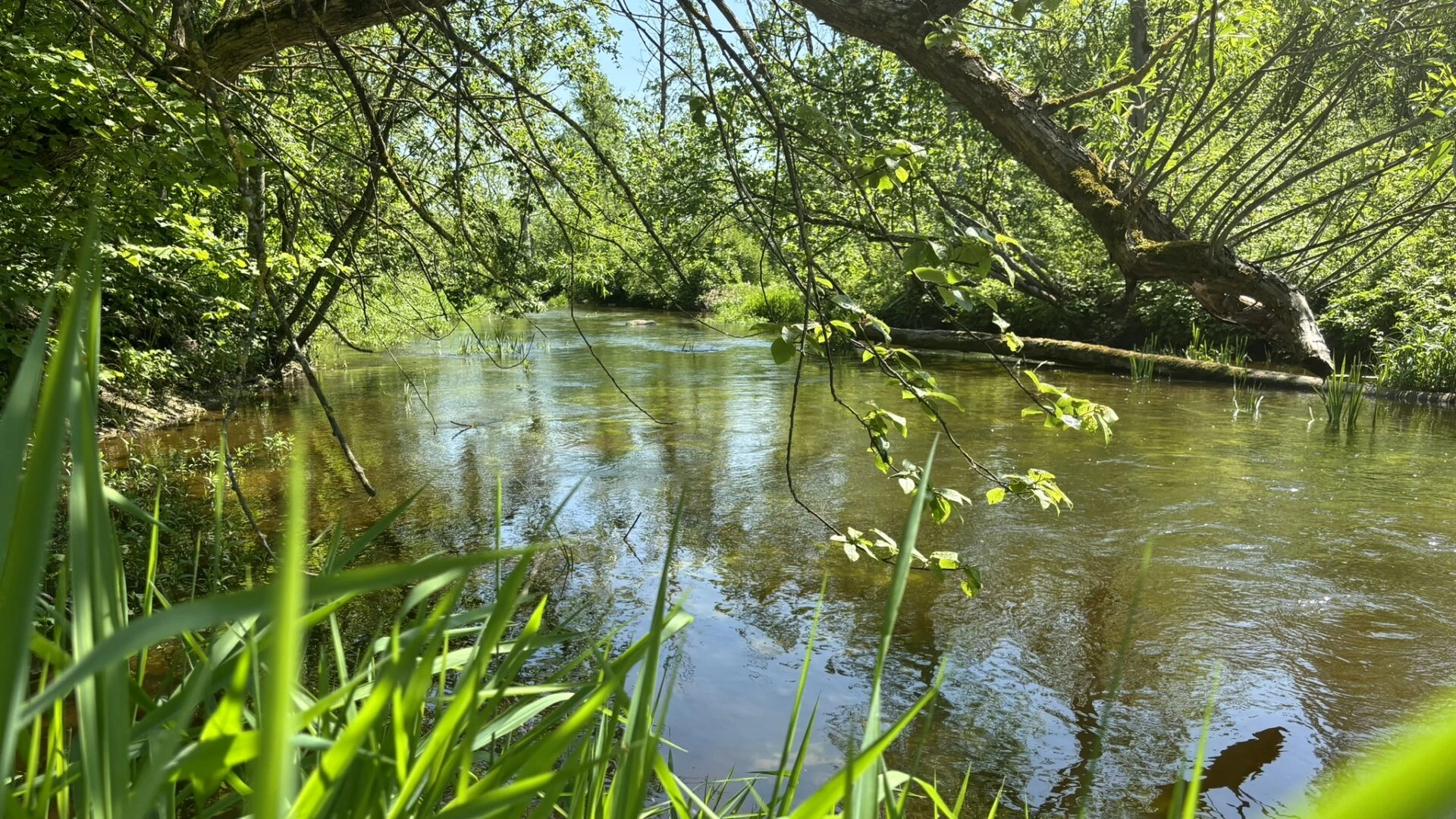 Jauna izstāde iepazīstina ar Auces upi un Zemgales ūdeņu stāstu 
