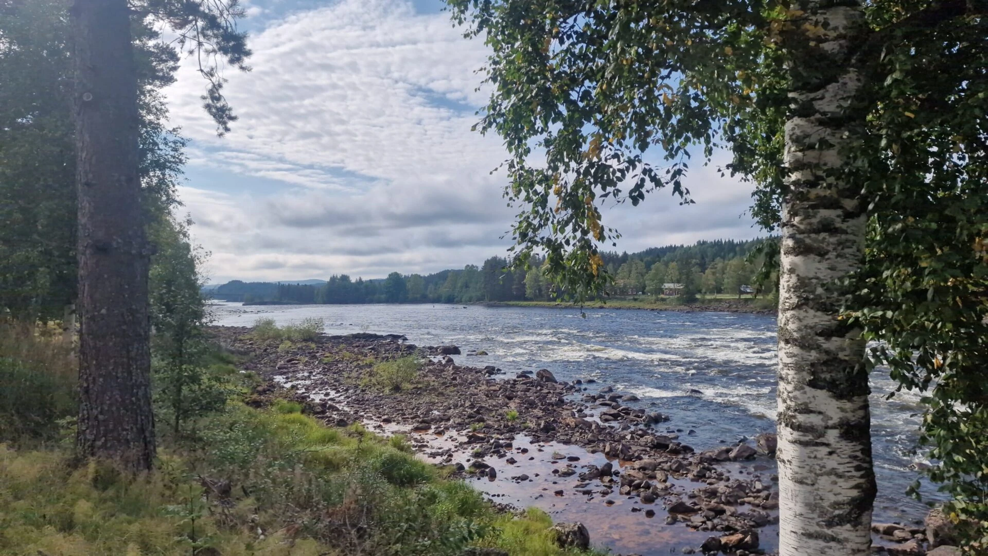 Kā dabas aizsardzība notiek kaimiņos? Zviedrijas piemērs
