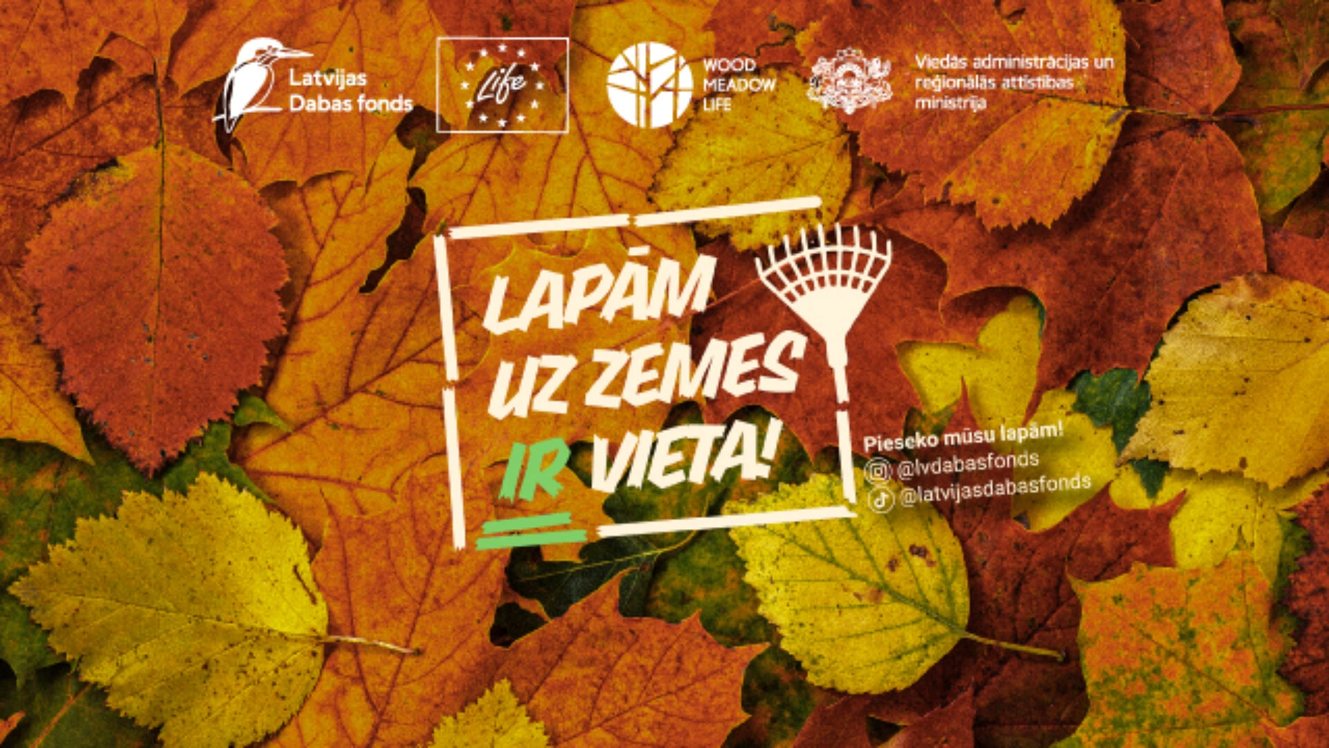 Latvijas Dabas fonds atgādina: lapām uz zemes ir vieta!