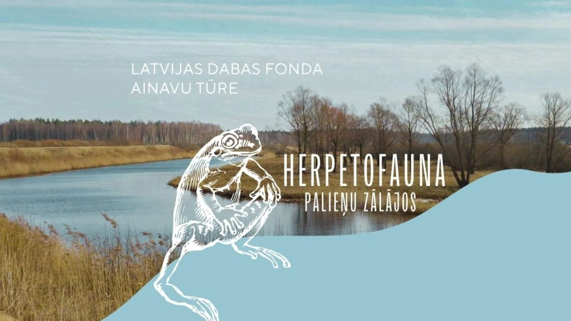 Aicinām uz abiniekiem un rāpuļiem veltītu ainavu tūri Lubāna mitrājā 