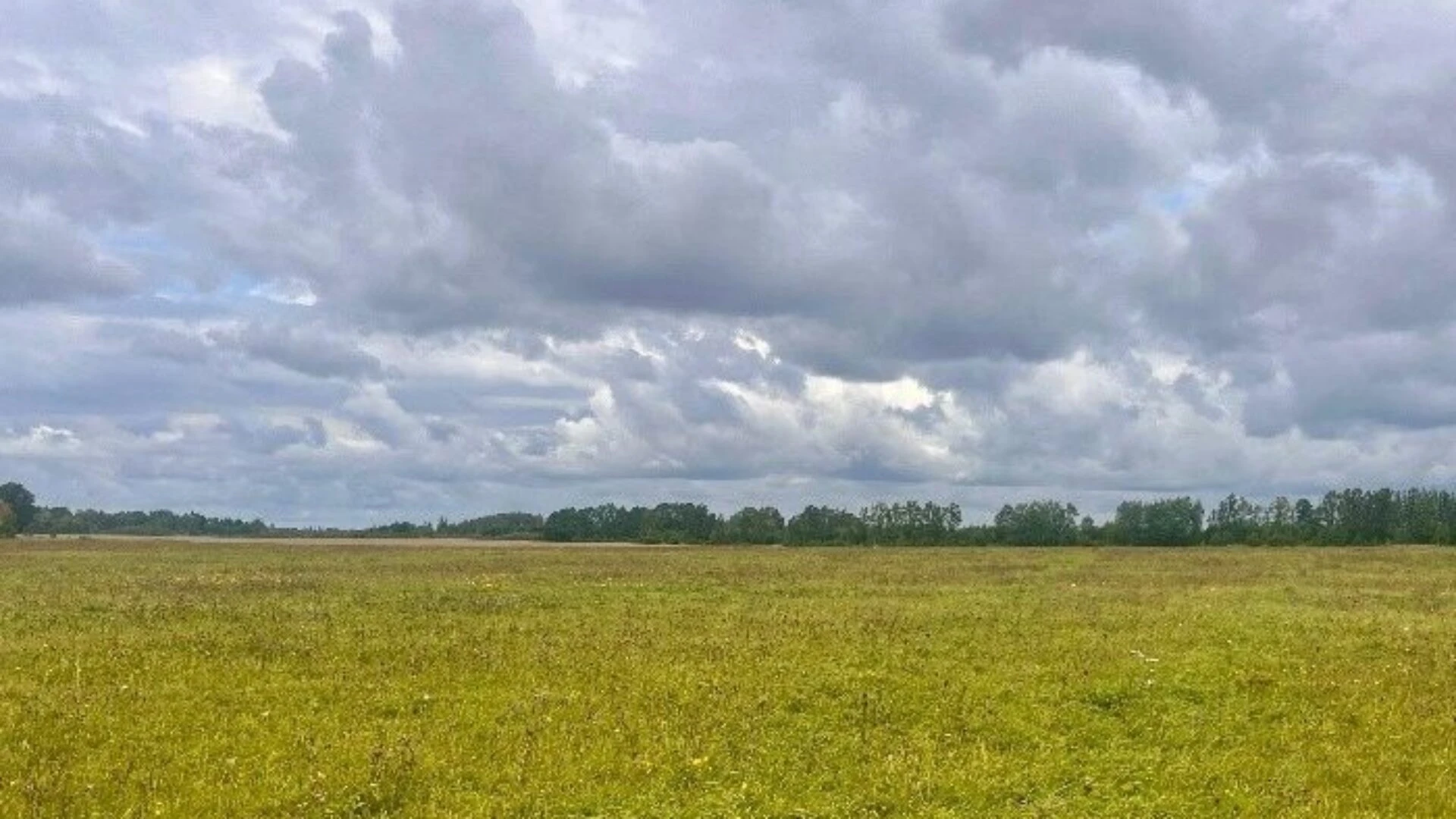 Pļavu atjaunošana saimniecībā SIA “Pavasari RT”